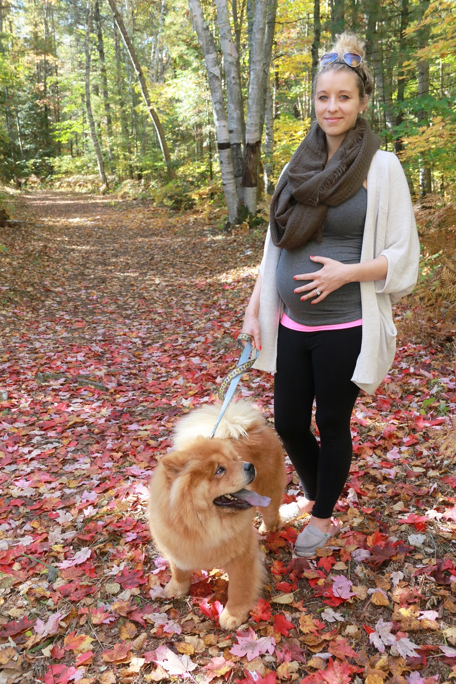 Pregnancy Update 2 week 26 The Northern Nest